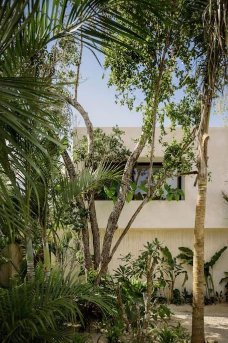 Casa Areca, Awarded Architectural Villa Located In A Secured Gated Community, With Concierge Services تولوم المظهر الخارجي الصورة
